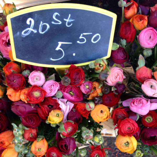 ranunculus_amsterdam