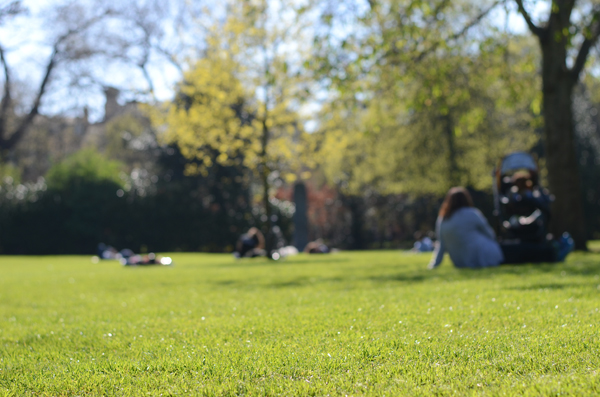 dublin-green-grass-park