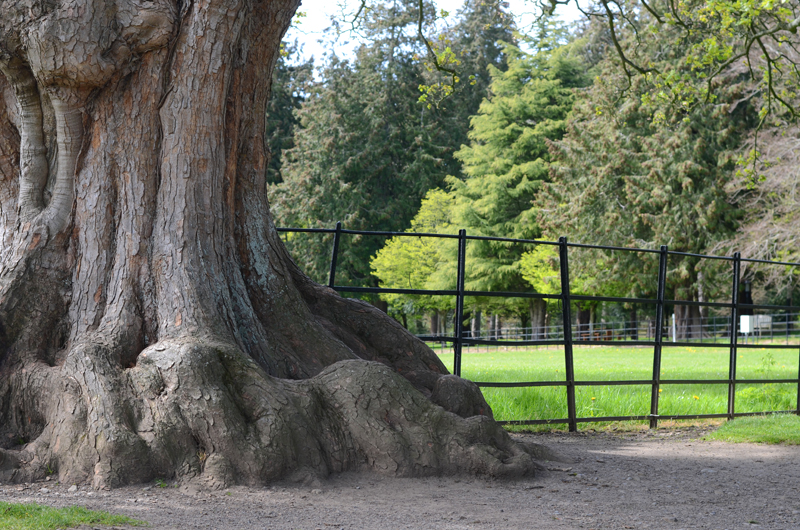 farmleigh-dublin-ireland