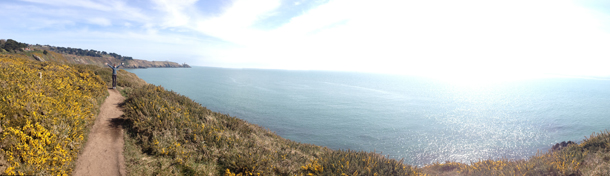 howth panorama emily